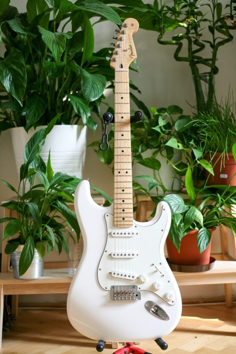 Fender Stratocaster