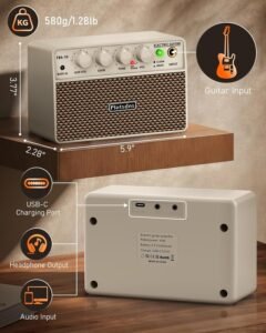 Flatsons FBA-10 white home practice amplifier sitting on a living room shelf next to houseplants and a small stack of books