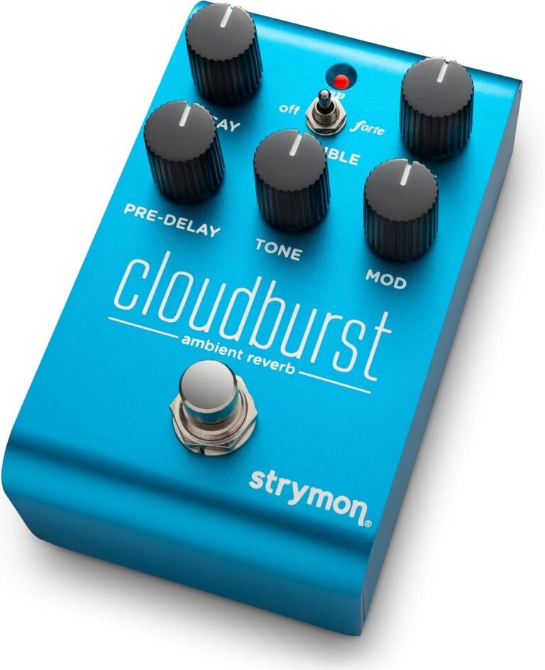 Strymon Cloudburst ambient reverb pedal in blue with Ensemble switch and five control knobs